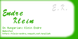 endre klein business card